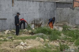 Delapan anak ular kobra ditemukan di Rawa Bambu Jaksel