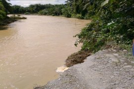BPBD: Tanggul di Sei Bekulap Sirapit Langkat longsor 30 meter