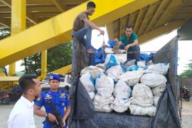 Penyelundupan 6.000 belangkas di Bengkalis gagal