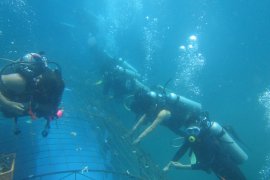 Pasukan elit TNI AL menyelam demi "Garuda di Lautku"