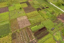 TW I 2020, Pertanian dan Industri Pengolahan Diprediksi Meningkat