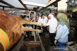 Gubernur Jatim jamin stok bahan pokok menjelang Natal dan tahun baru aman