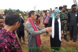 Distan Paser lakukan gerakan tanam jagung dan padi