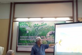 2017 sampai 2019, deforestasi di Sumbar capai 23.352 hektare