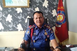 Ular kobra, piton, ular pucuk, dan biawak masuk permukiman gegerkan warga Padang