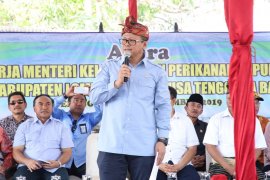 Menteri Edhy: Pembesaran benih lobster mendorong nilai tambah