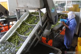 Ekspor kedelai edamame