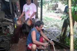 Cobek craftmen need Tanah Laut govt help