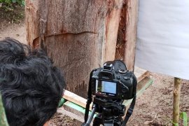 Dosen Universitas Riau amati perilaku lebah saat gerhana matahari