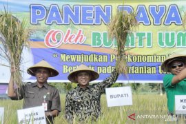 Pemkab Lumajang optimalkan peralihan pertanian anorganik menjadi organik