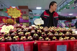 Neraca dagang Indonesia-China, siapa untung siapa buntung