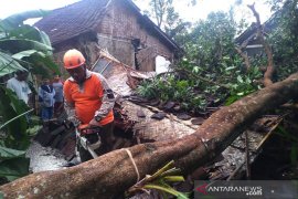Strong wind, heavy rains damage dozen houses in Jember