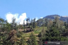 Jalur pendakian Merbabu ditutup pada malam tahun baru