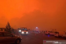 LANGIT MERAH SAAT KEBAKARAN HUTAN DI AUSTRALIA Page 1 Small