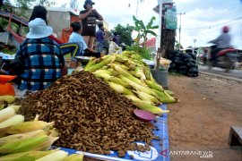 Penjual jagung musiman tahun baru Page 2 Small