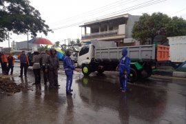 Pohon tumbang menewaskan seorang  pengendara motor