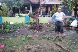 BPBD Sidoarjo waspadai banjir wilayah pesisir