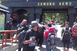 Jalur pendakian Gunung Lawu dari Magetan ditutup sementara