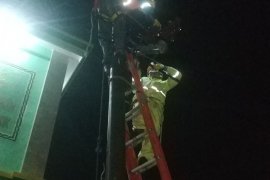 Pemulihan jaringan listrik di Jatim terus dilakukan