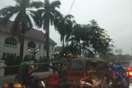 Hujan disertai angin kencang tumbangkan pohon dan tiang listrik di Surabaya