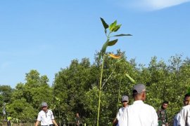 Gandeng DUDI, Pemprov Bentuk MPK