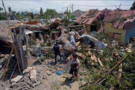 Rumah hancur tertimpa pohon di Denpasar