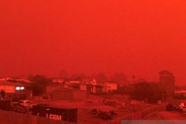 27 orang dilaporkan meninggal akibat kebakaran semak di Australia