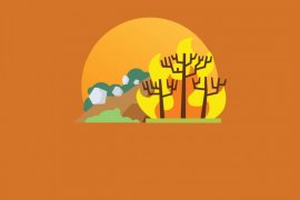 2019, Karhutla dan Longsor Paling Banyak Terjadi di Kaltara