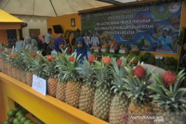 Produk buah unggulan Kabupaten dan Kota di sumsel hiasi Festival Buah Page 1 Small