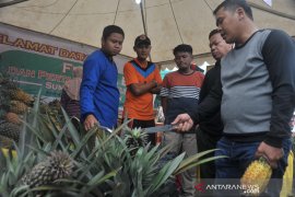 Produk buah unggulan Kabupaten dan Kota di sumsel hiasi Festival Buah Page 2 Small