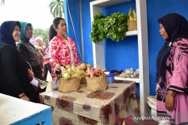 Gubernur Sumsel ajak lestarikan buah lokal durian, manggis dan nanas