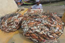 Musim tangkapan rajungan