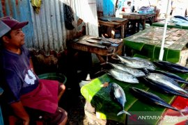 Harga ikan cakalang segar di pasar Ambon naik