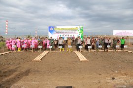 Wabup apresiasi penanaman 3.000 bibit mangrove