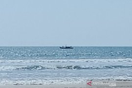 Pukat harimau merajalela di pantai Muara Upu Tapanuli Selatan