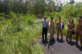 Akhir 2020, jalan penghubung Tegenungan-Sukawati rampung