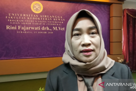 785 ribu bibit itik Alabio ditebar di tujuh daerah di Kalsel