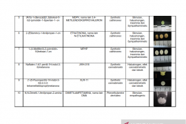 Daftar nama zat NPS yang sudah teridentifikasi di Indonesia Tahun 2019 Page 2 Small