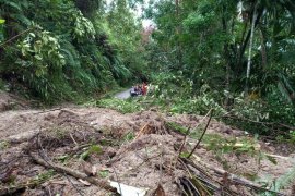 Banjir bandang dan longsor di Padang Pariaman rusak akses jalan dan bendungan