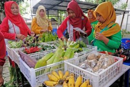 Pasar tani pekarangan