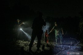 PTPN V dukung polisi tindak tegas pegawainya di kasus karhutla Riau