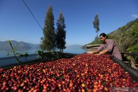 Atase: Produk pertanian Indonesia berpeluang besar ekspor ke Jepang