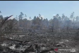 Lahan terbakar di Sungai Apit Siak, 10 embung dibuat untuk antisipasi