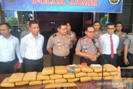 Polda Jambi ungkap gudang sekolah jadi tempat penyimpanan ganja