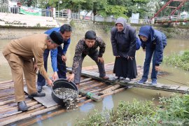 10 baskom anakan ikan dirazia di pasar Barabai, penjual mengaku tidak tahu kalau dilarang