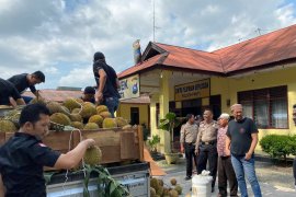 Polisi gagalkan penyelundupan seperempat ton  ganja lewat truk pengangkut durian