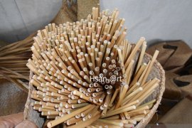 S Kalimantan's HSU produces nonplastic straw to meet Dutch's demand