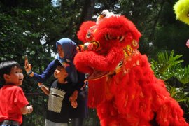 Kebun Binatang Bandung tampilkan atraksi Barongsai sambut Imlek