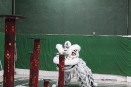 Persiapan atraksi Barongsai jelang Imlek Page 2 Small