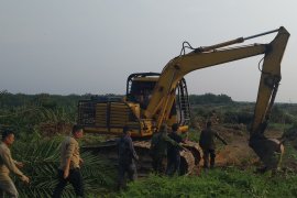 Potensi kerugian eksekusi perkebunan sawit Gondai Rp12,4 triliun